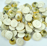 Natural Shell Snails Pendants Charms Animal Pendants Jewelry Accessories