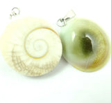 Natural Shell Snails Pendants Charms Animal Pendants Jewelry Accessories