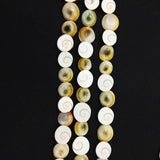Natural Shell Perforated Snail Beads Charms for DIY Jewelry 12Pcs/lot