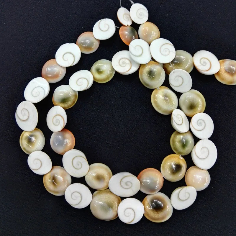 Natural Shell Perforated Snail Beads Charms for DIY Jewelry 12Pcs/lot