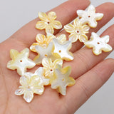Wholesale 20PC Natural Seashell Petal Beads Pendant 20MM