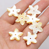 Wholesale 20PC Natural Seashell Petal Beads Pendant 20MM