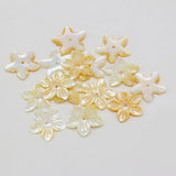 Wholesale 20PC Natural Seashell Petal Beads Pendant 20MM