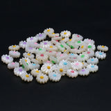 20PCS Natural Seashell Sunflower Beads for Jewelry Making