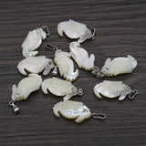 25PCS Natural Shell Hippocampus Pendant Necklace Earring Charm