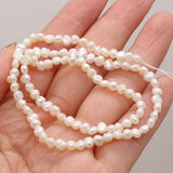 2PCS Natural Freshwater Pearl Beads for Jewelry MakingDIY Necklace Bracelet