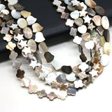 Wholesale Natural Freshwater Shells Bead for Jewelry Making DIY