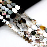 Wholesale Natural Freshwater Shells Bead for Jewelry Making DIY
