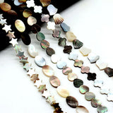 Wholesale Natural Freshwater Shells Bead for Jewelry Making DIY