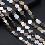 Wholesale Natural Freshwater Shells Bead for Jewelry Making DIY