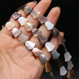 Wholesale Natural Freshwater Shells Bead for Jewelry Making DIY