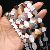 Wholesale Natural Freshwater Shells Bead for Jewelry Making DIY