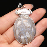 3PCS Shell Grey Egg Pendant for Jewelry Making DIY Necklace Earrings