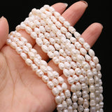 5PCS Natural Freshwater Pearl Rice Beads 5-6MM Jewelry Making