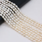5PCS Natural Freshwater Pearl Rice Beads 5-6MM Jewelry Making