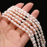 5PCS Natural Freshwater Pearl Rice Beads 5-6MM Jewelry Making