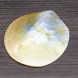 8PCS Seawater Shell Round Pendant Bead for Jewelry Making
