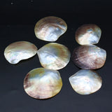 8PCS Seawater Shell Round Pendant Bead for Jewelry Making