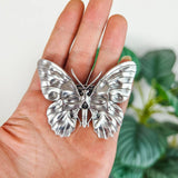 Witch Skull Moth Butterfly French Barrette Hairclip