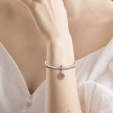 Spinning Lucky Dangle Charm Sterling Silver Jewelry - Fits Snake Chain Bracelets