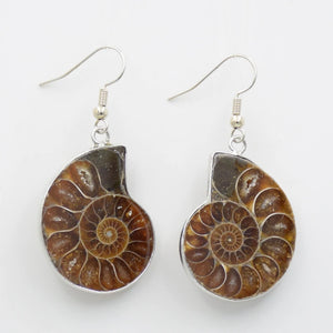 Natural Snail Ammonite Whorl Drop Earrings Conch Shell Dangle Hook Earring