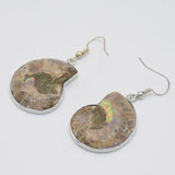 Natural Snail Ammonite Whorl Drop Earrings Conch Shell Dangle Hook Earring
