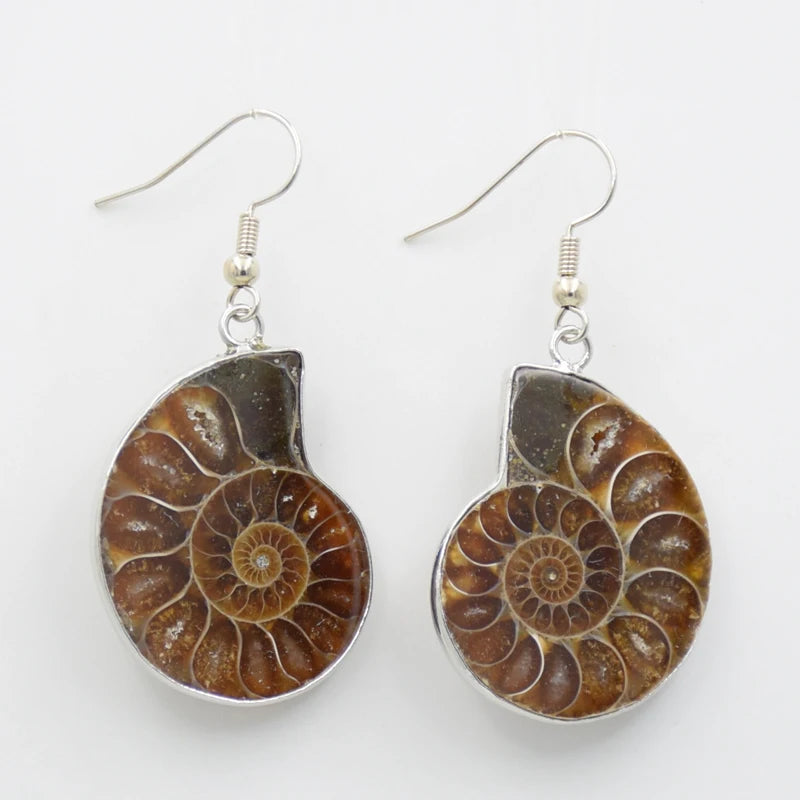 Natural Snail Ammonite Whorl Drop Earrings Conch Shell Dangle Hook Earring