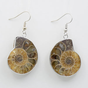Natural Snail Ammonite Whorl Drop Earrings Conch Shell Dangle Hook Earring