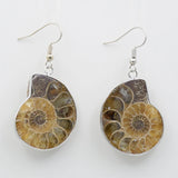 Natural Snail Ammonite Whorl Drop Earrings Conch Shell Dangle Hook Earring