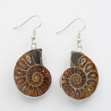 Natural Snail Ammonite Whorl Drop Earrings Conch Shell Dangle Hook Earring