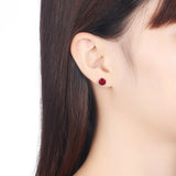 S925 Crystal Stud Earrings Party Jewelry 925 Silver Lady Round