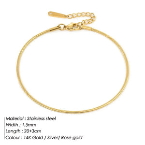 Women's Stainless Steel Snake Chain Anklet