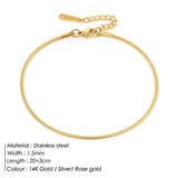 Women's Stainless Steel Snake Chain Anklet