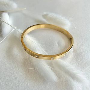 18K Rose Gold Plated Stainless Steel Bangle Bracelet for Women