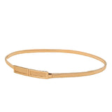 Women's Slim Waistband Decorative Dress with Rectangular Buckle Waist Chain