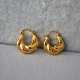 Women Twist Shape Earrings Hoop Jewelry Plated