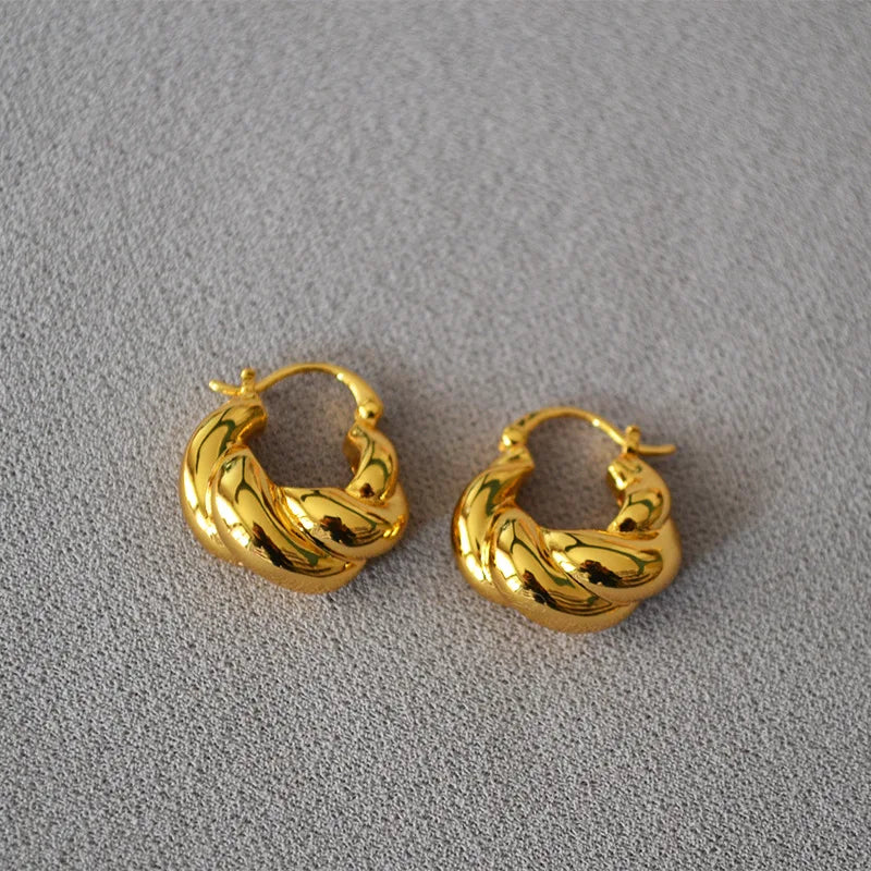 Women Twist Shape Earrings Hoop Jewelry Plated