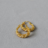Zircon Sparkle Earrings Hoop for Women