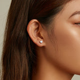 Wostu Silver 925 Sterling Earrings Love Zircon Fine Jewelry
