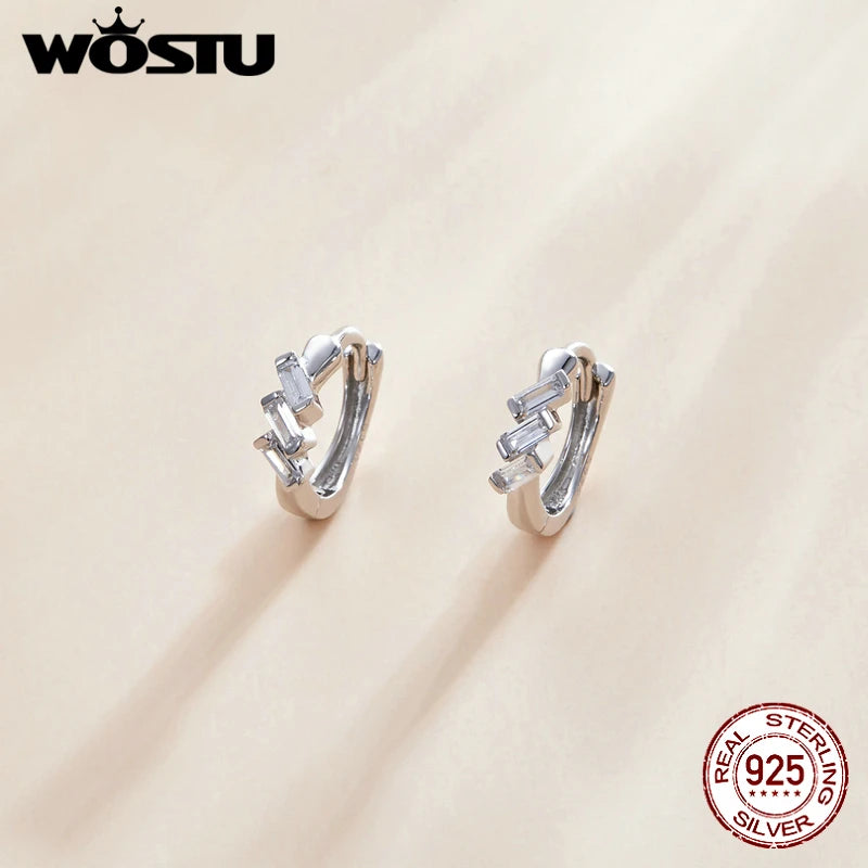 Wostu 925 Silver Iceland's Love Stud Earrings For Women