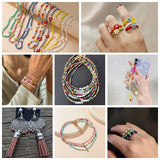Y2K Multicolor Bead Kit 2-3mm Seed Rice Beads & Leather Tassel