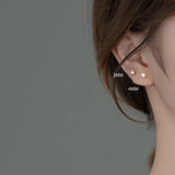 925 Silver Shell Spiral Beads Stud Earrings Women Party Ear Jewelry