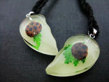 12 pcs Glow-in-Dark Real Beetle Pendant Specimen Party Gift