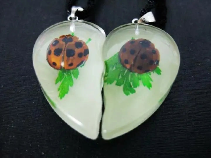 12 pcs Glow-in-Dark Real Beetle Pendant Specimen Party Gift
