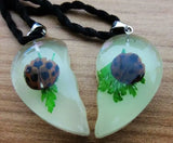 12 pcs Glow-in-Dark Real Beetle Pendant Specimen Party Gift