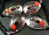 12pcs Real Red Bean Ant Lucid Drop Pendant Specimen