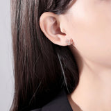 2 Colors CZ Butterfly Stud Earrings for Women Anniversary Party
