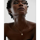 Golden Fruit Pendant Necklace Stainless Steel Avocado Shell Charm