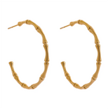 Stainless Steel Bamboo Hoop Earrings 18K PVD Plated