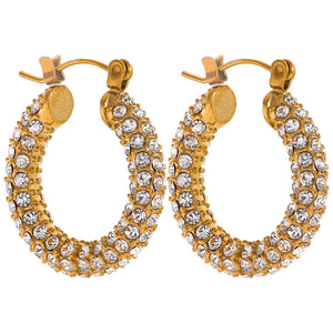 Micro CZ Stainless Steel Hoop Huggie Earrings Women